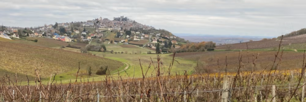 Domaine Vacheron Sancerre New Releases
