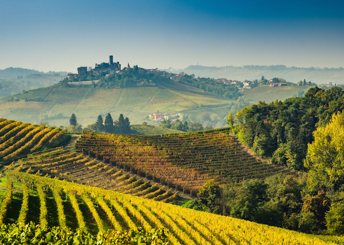 Piemonte Wine Collection