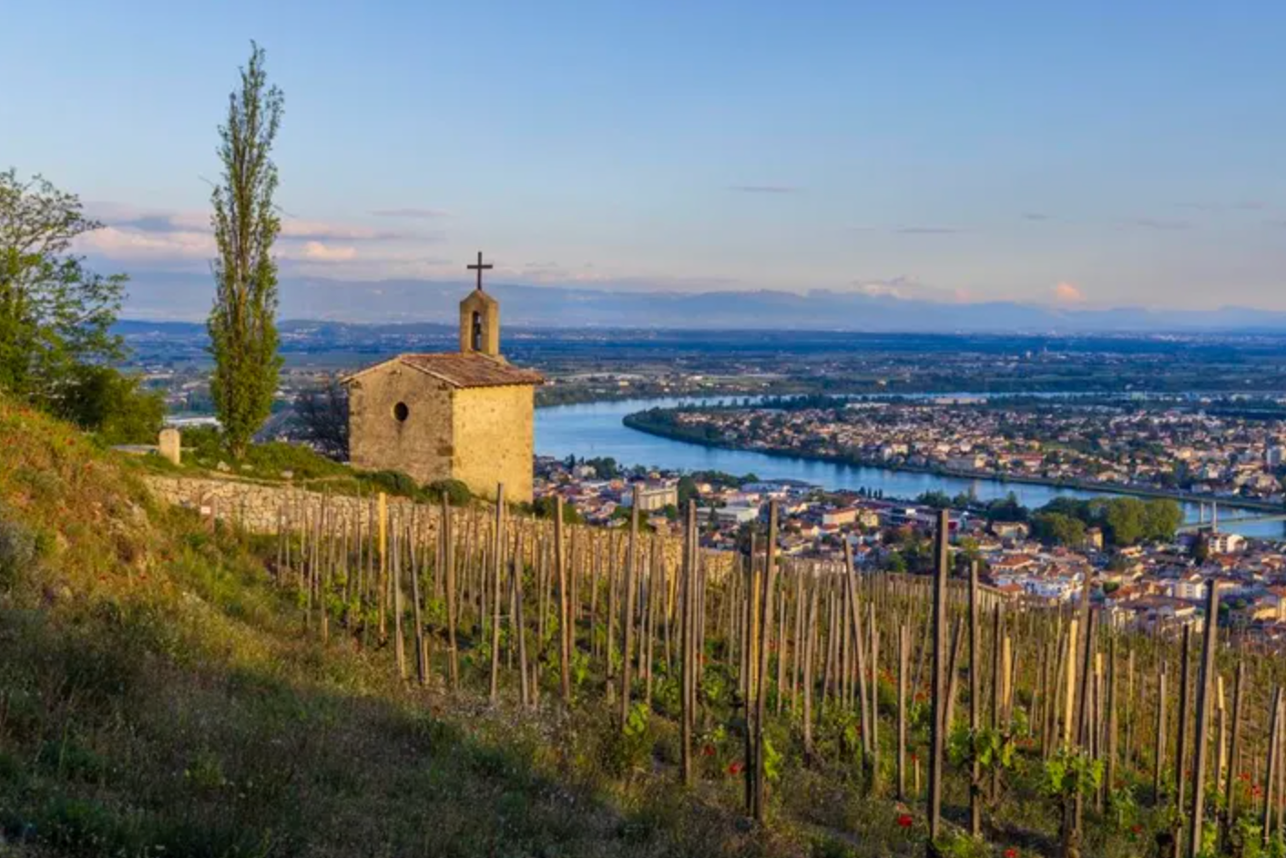 Rhône Valley Wine Collection