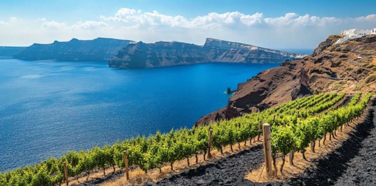 Island Wines
