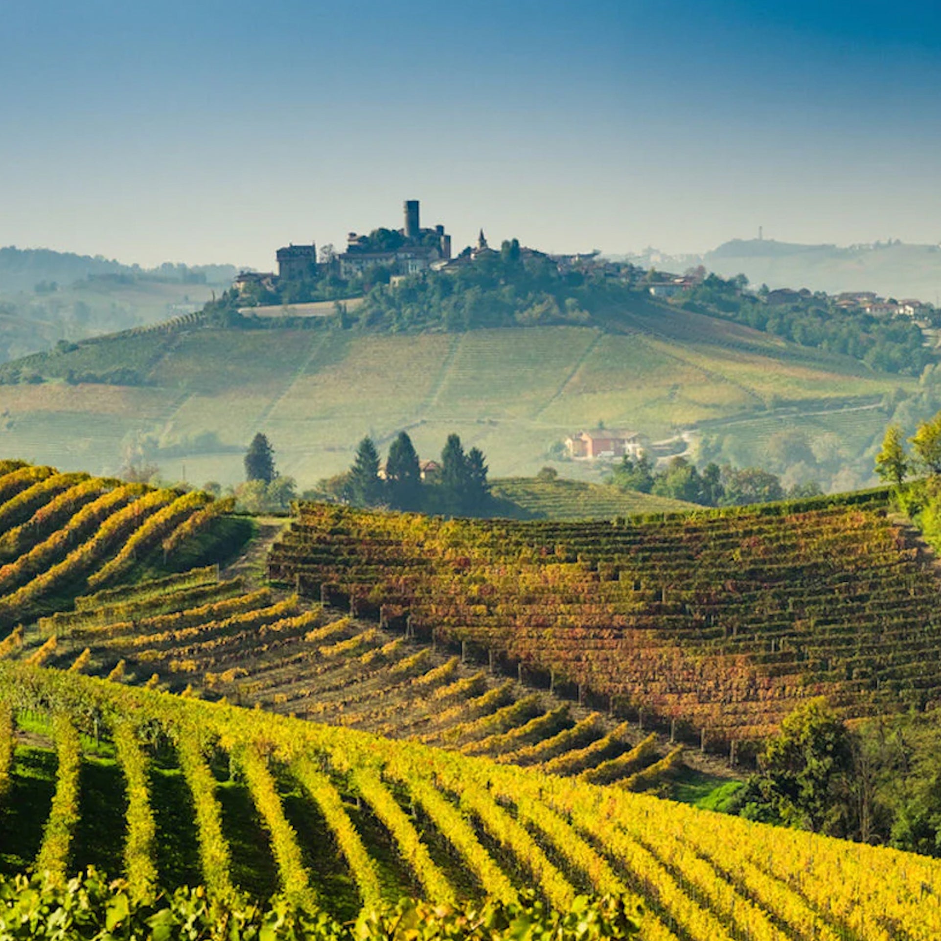 Piemonte Wine Collection
