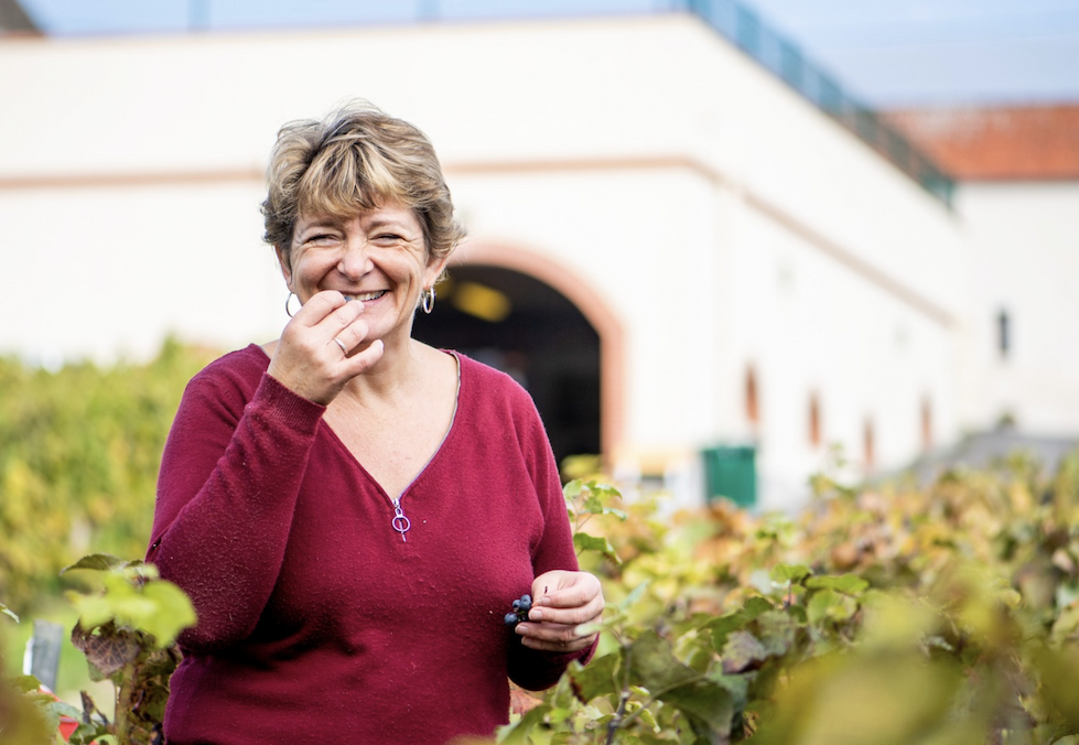 Christine Léguillette - Champagne