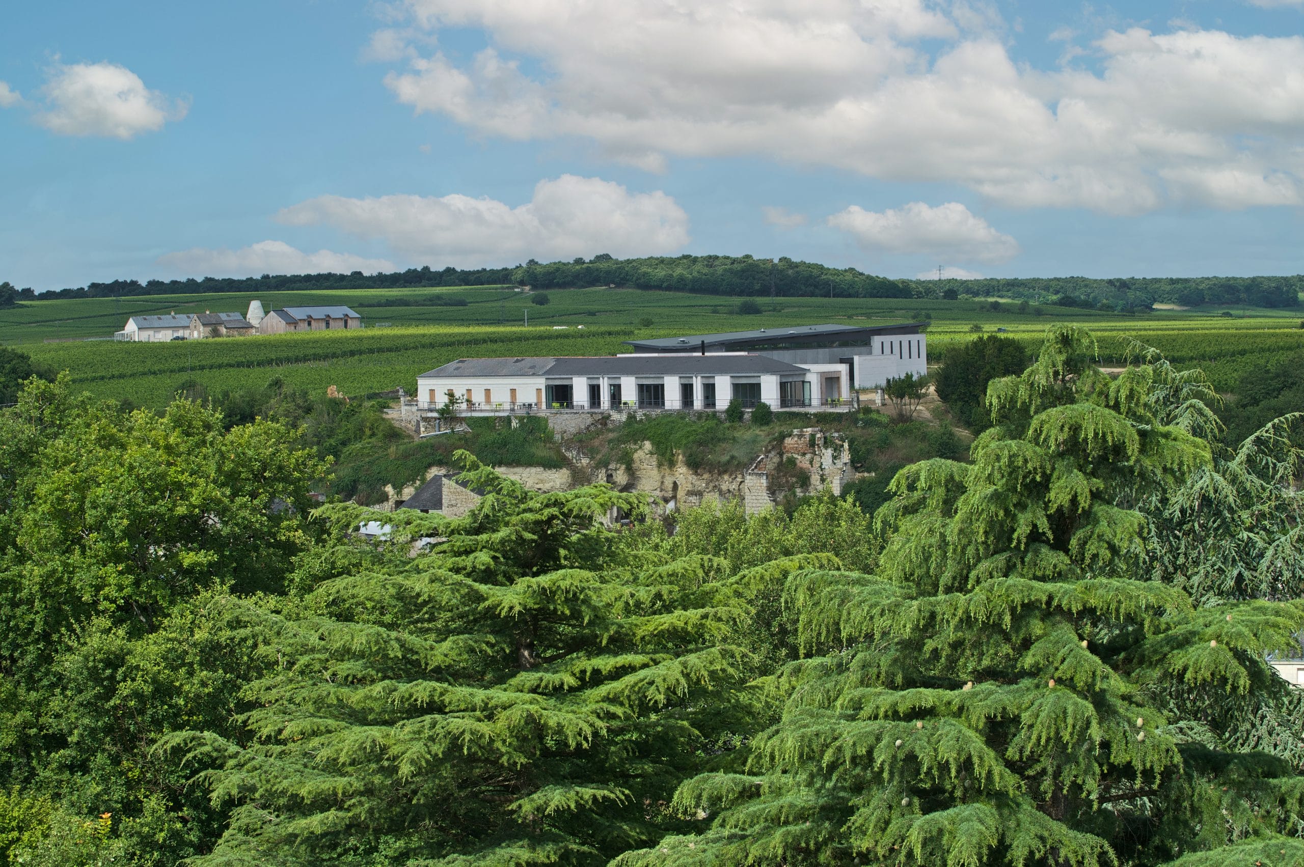 Saumur-Champigny AOC