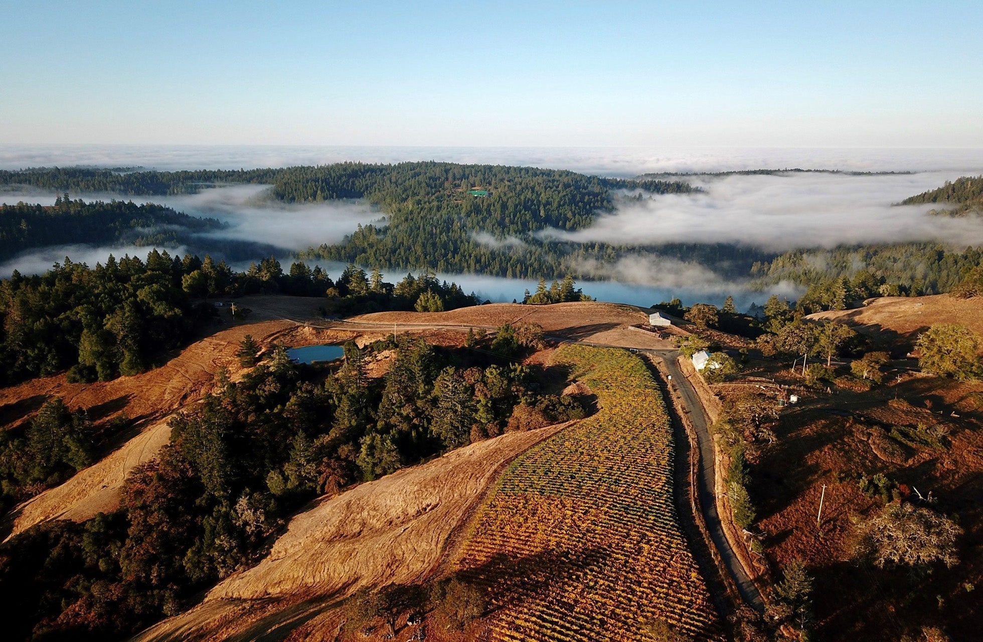 Fort Ross-Seaview AVA Sonoma County