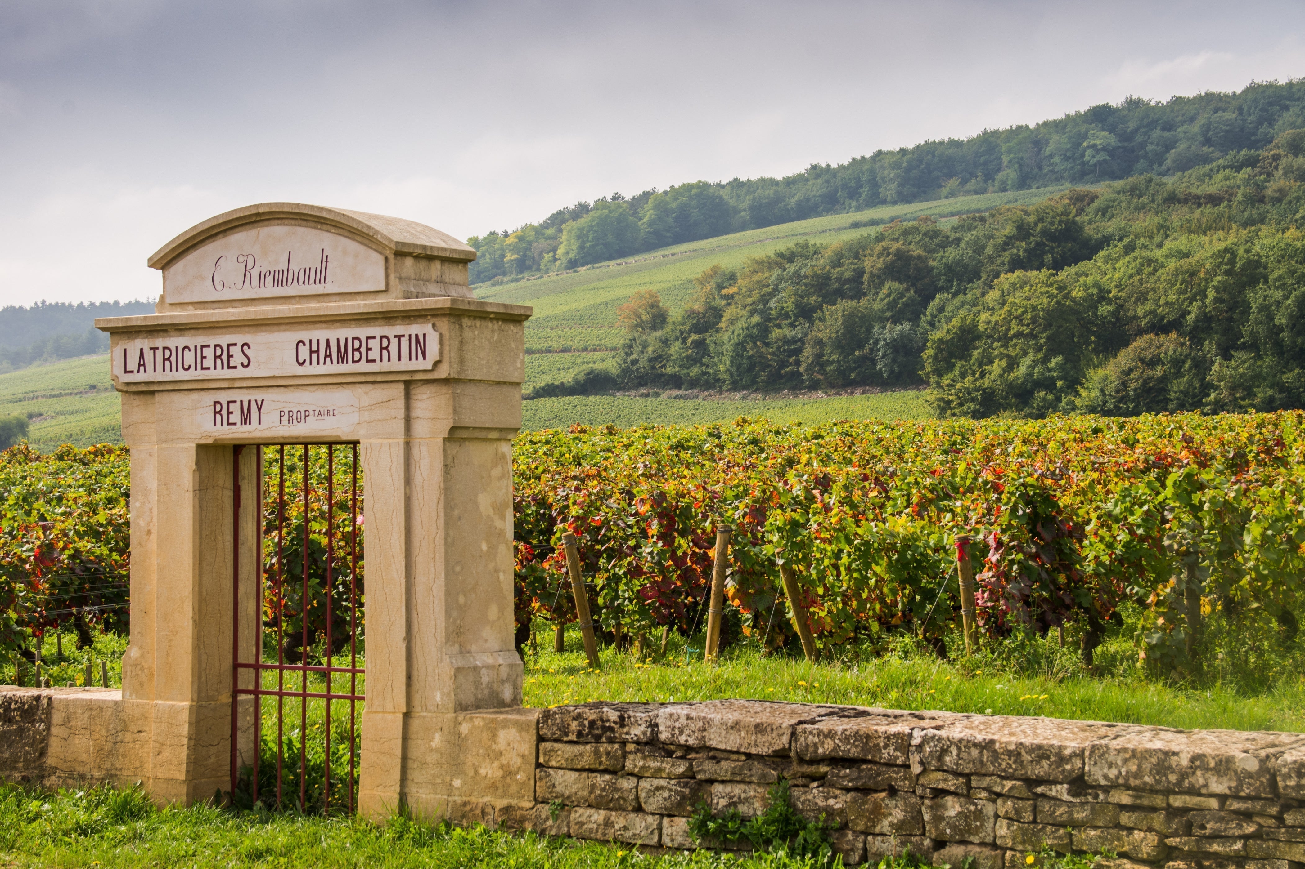 Grand Cru Vineyards of Gevrey-Chambertin
