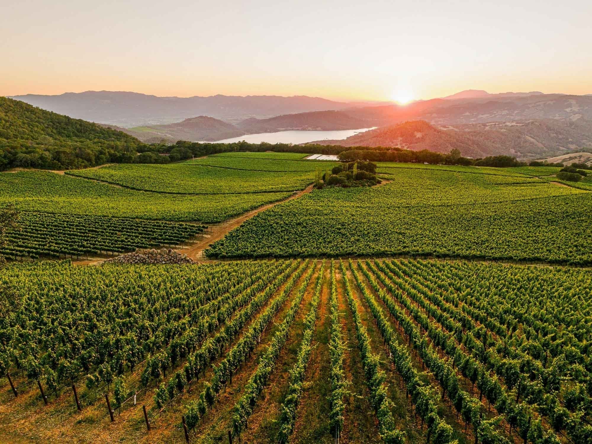 Prichard Hill Napa Valley