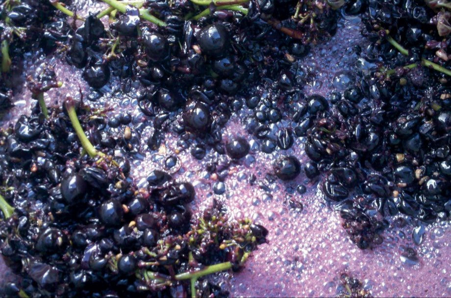Winespeak: Carbonic Maceration