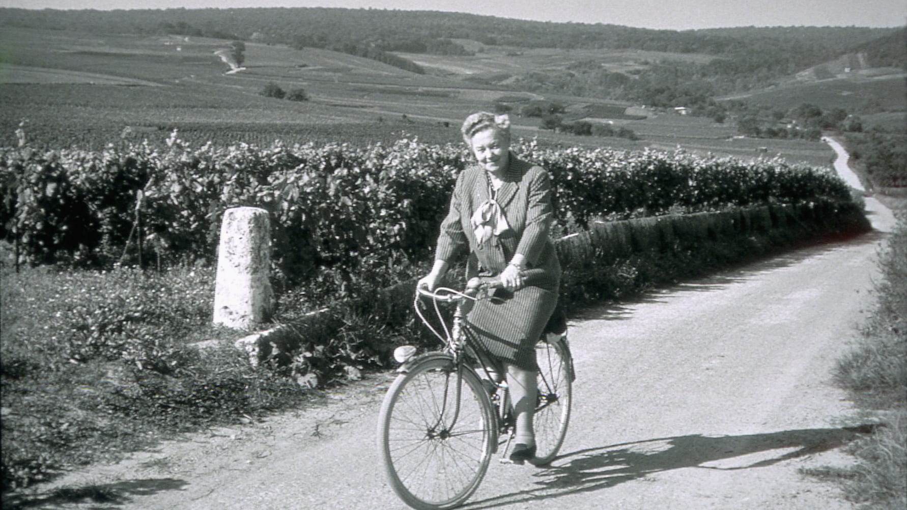 Champagne Producer Spotlight: Lily Bollinger