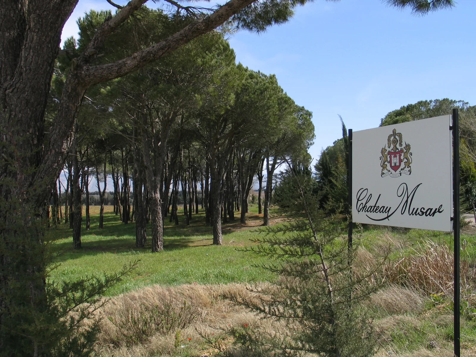 Chateau Musar