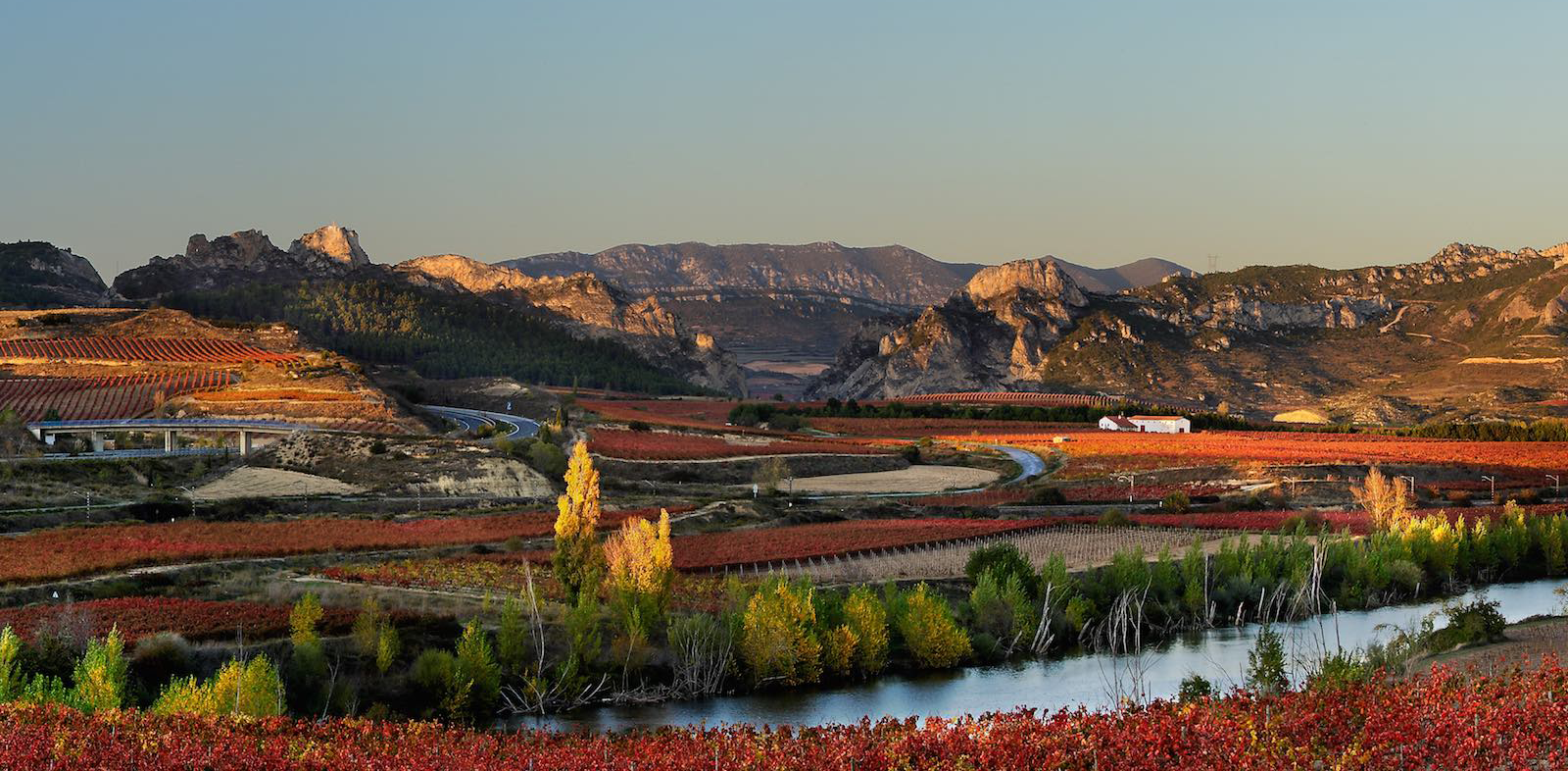 La Rioja Wine Guide: Explore The History, Regions, DOCa and Top Wines