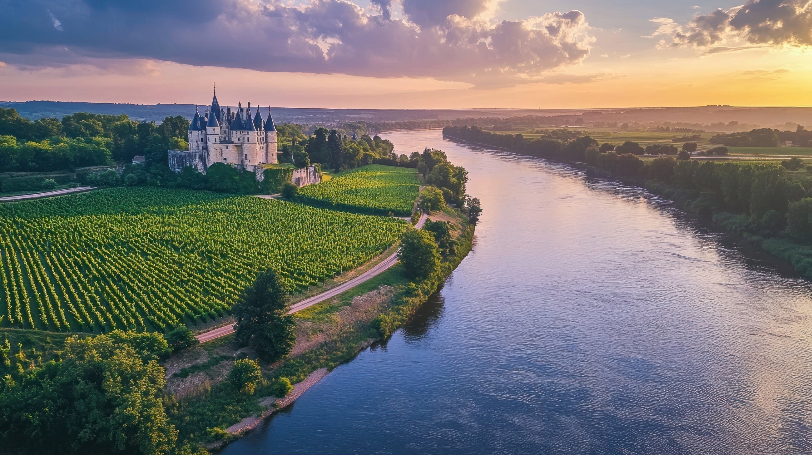 Loire Valley Wine Guide
