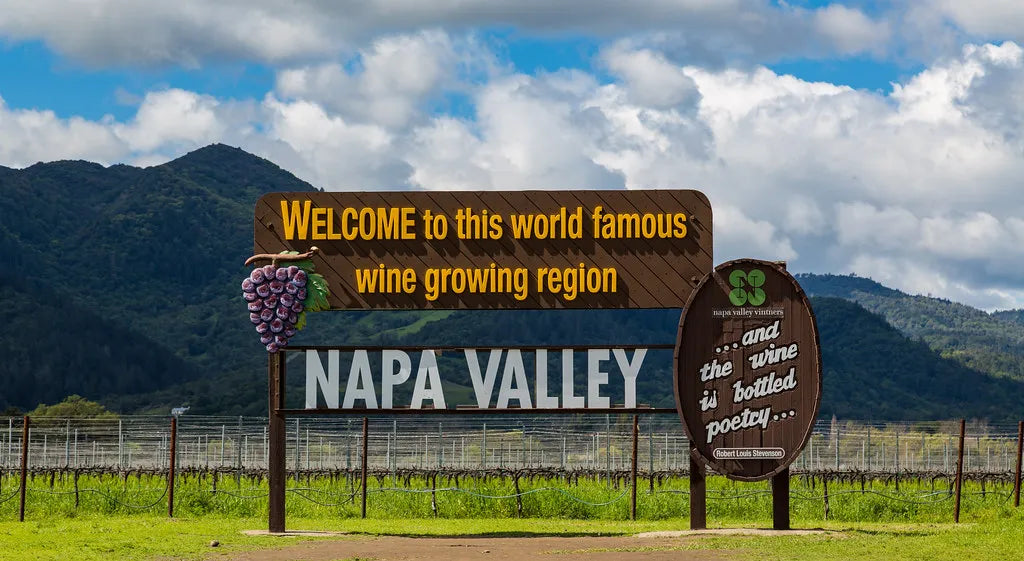 Napa Valley Wine Guide: History, Regions, and Top Wines