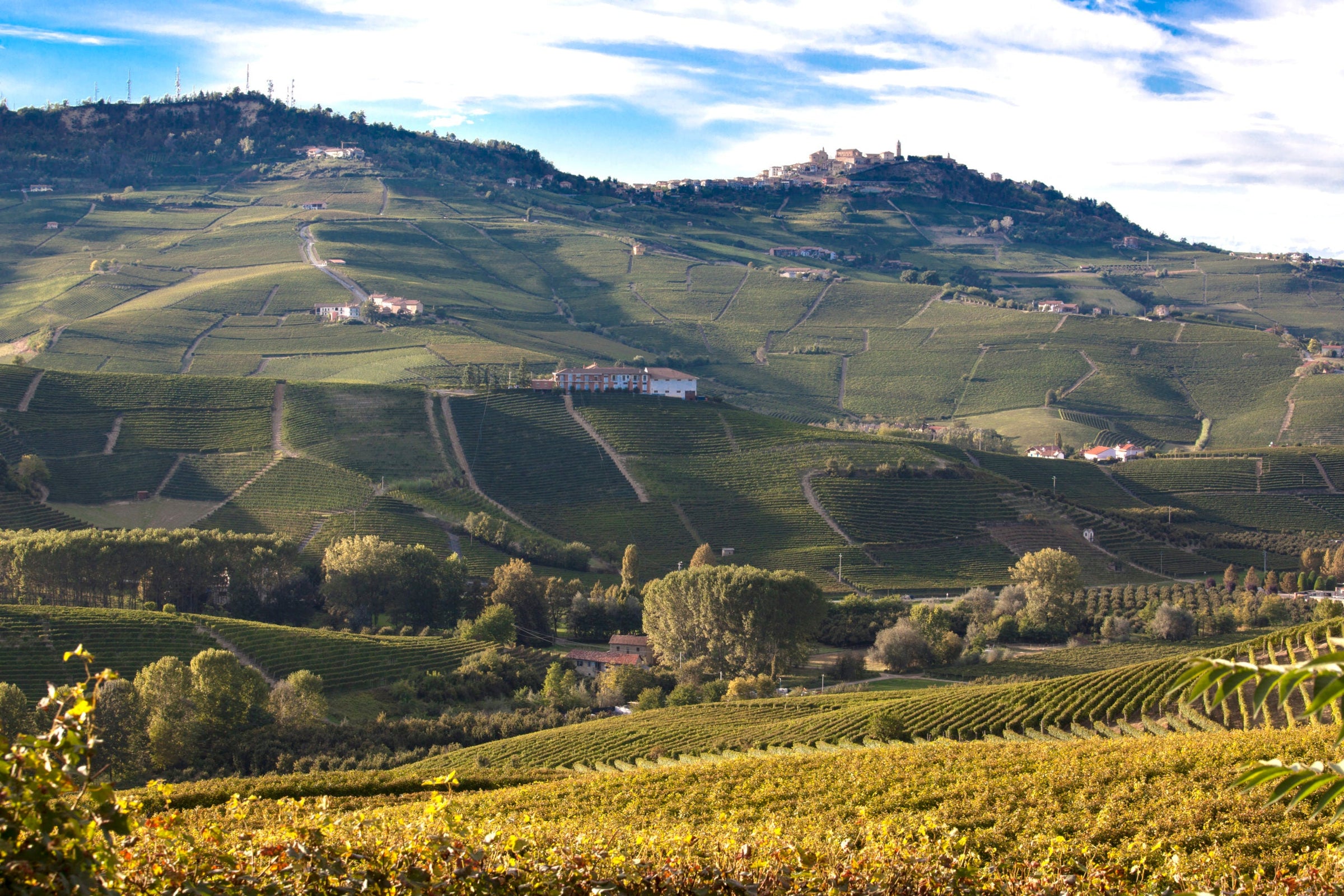 E. Pira Chiara Boschis, Barolo 