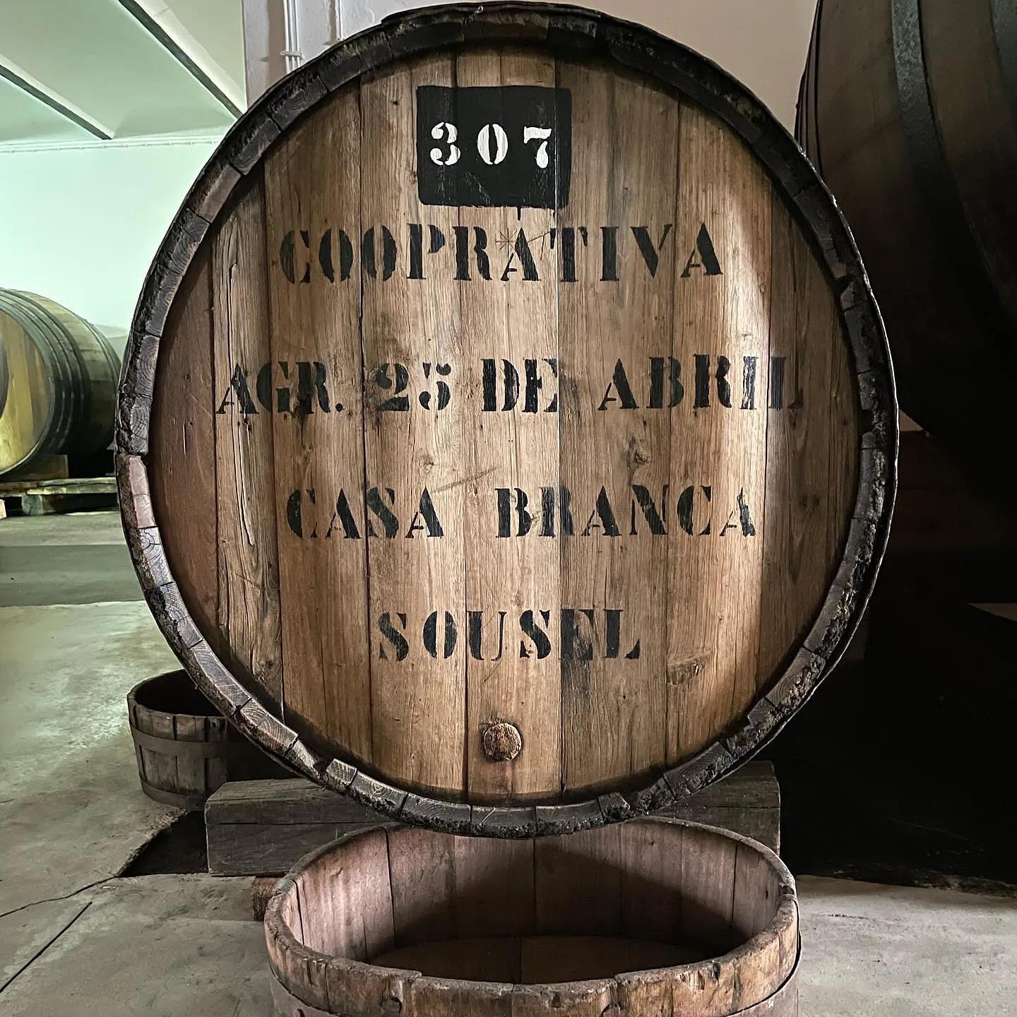 Herdade do Mouchão: The Mastery of Alicante Bouschet