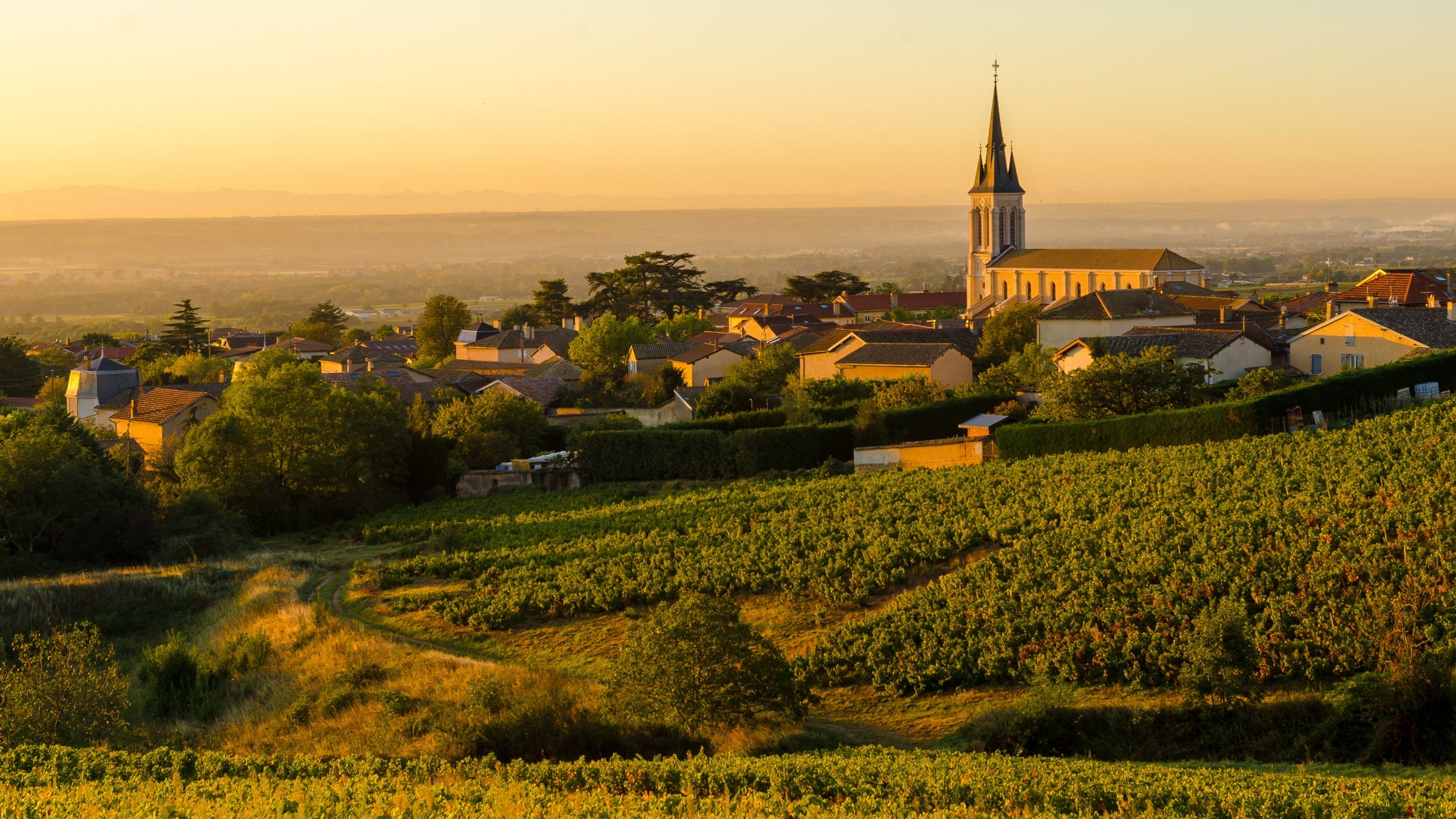 Beaujolais, Burgundy, France