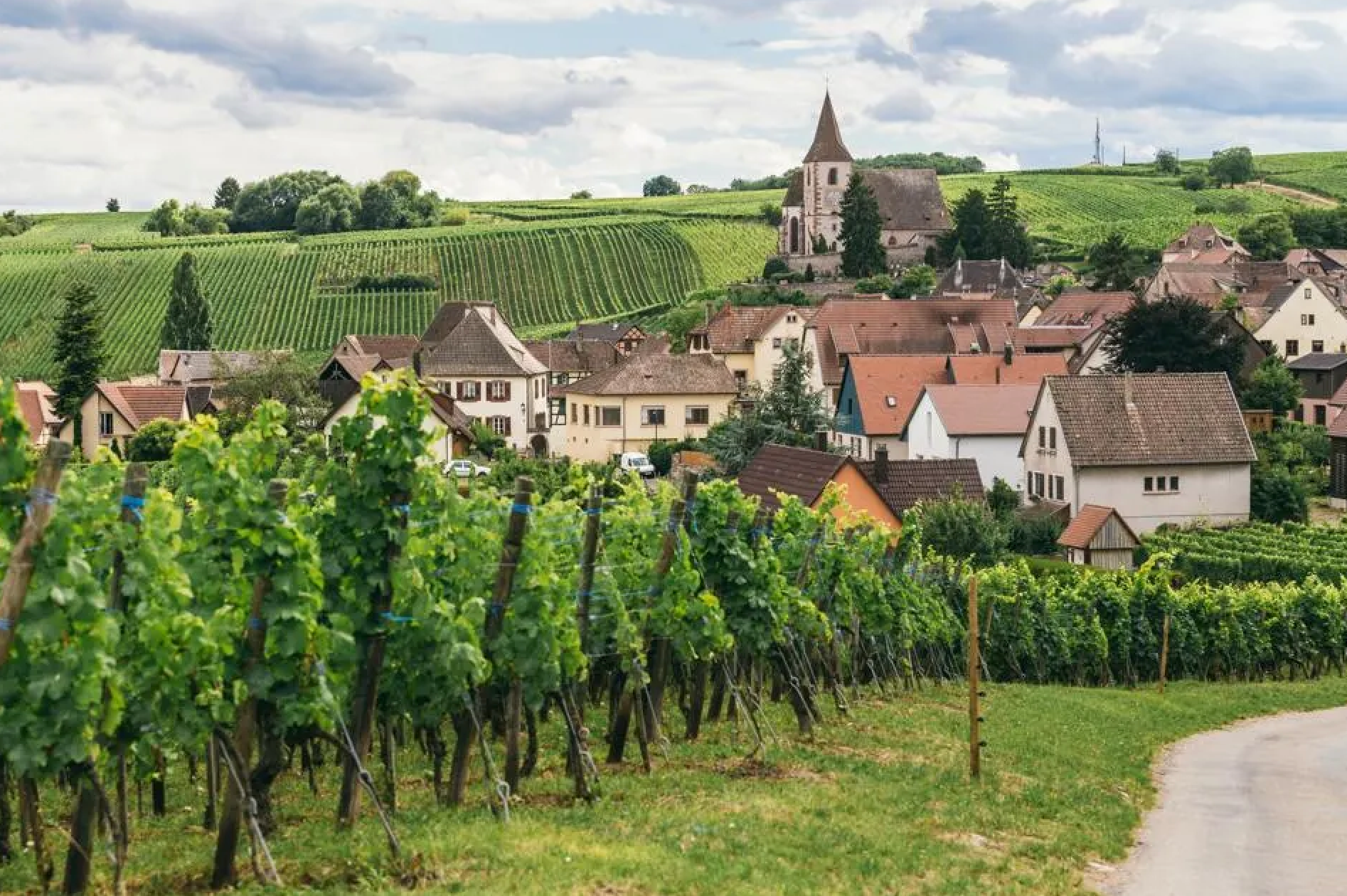 Burgundy Wine Collection