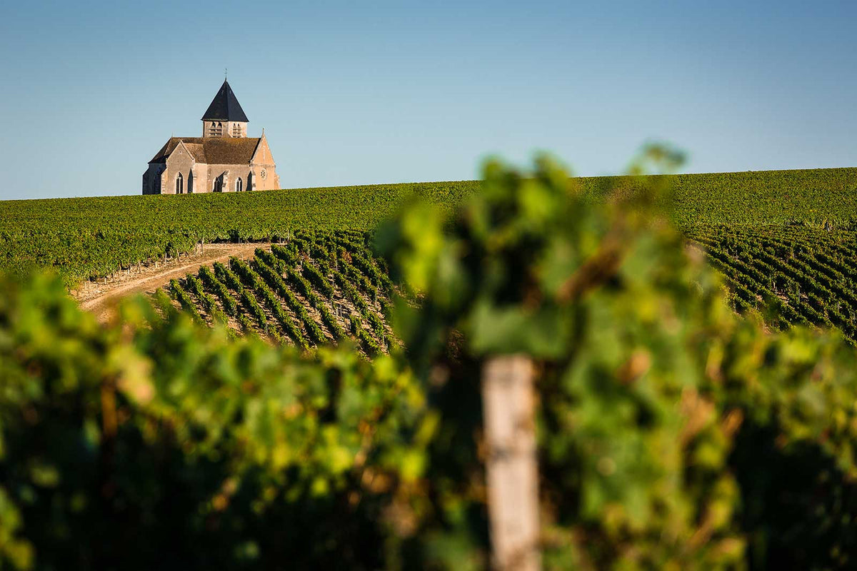 Maison Regain Chablis