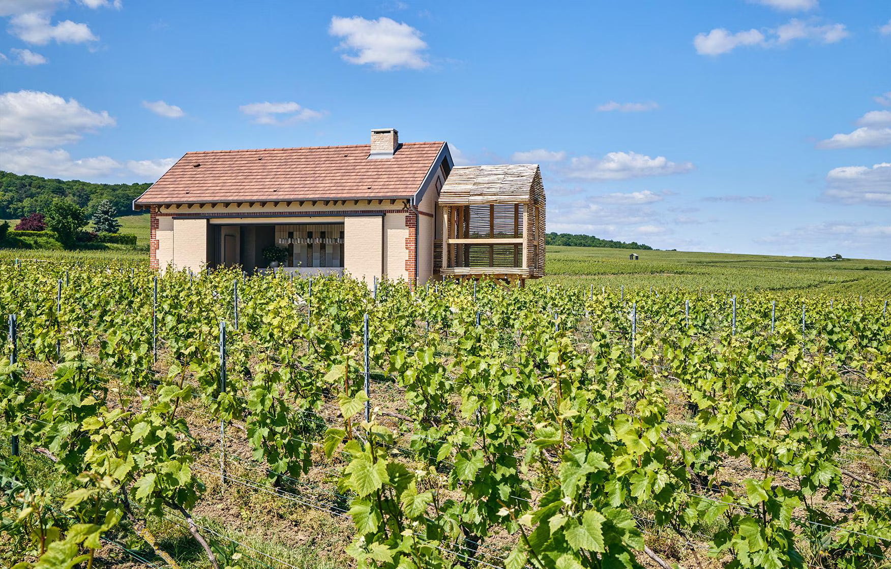Ambonnay Champagne Collection
