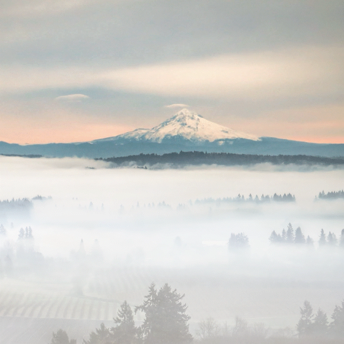 Willamette Valley Pinot Noir