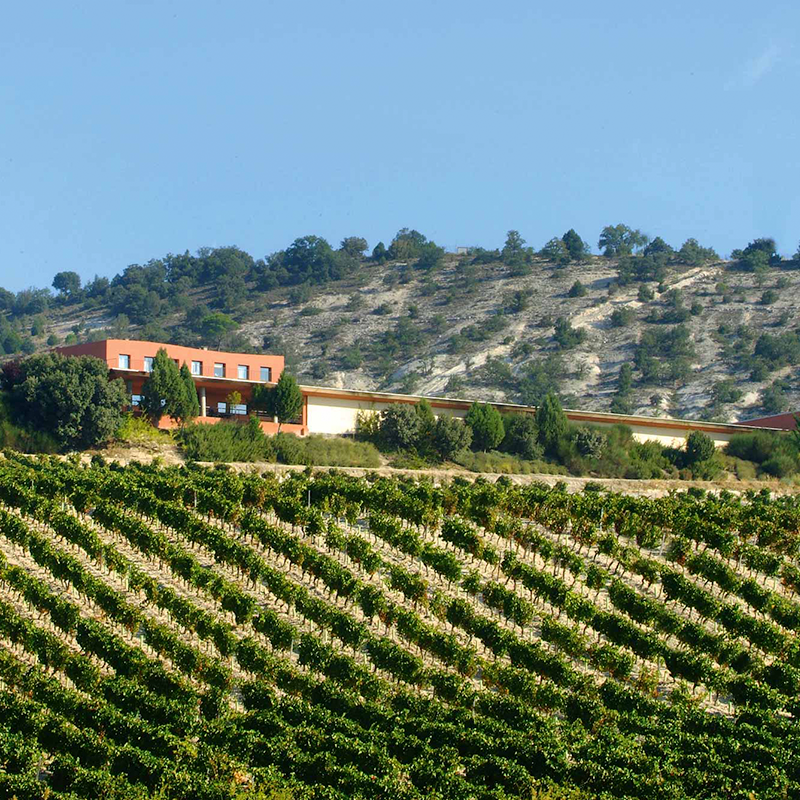 Castilla y León Wine Collection