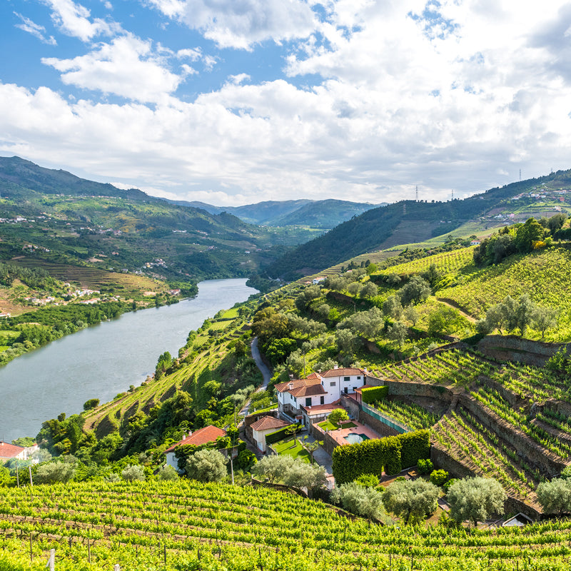 Portugal Wine Collection