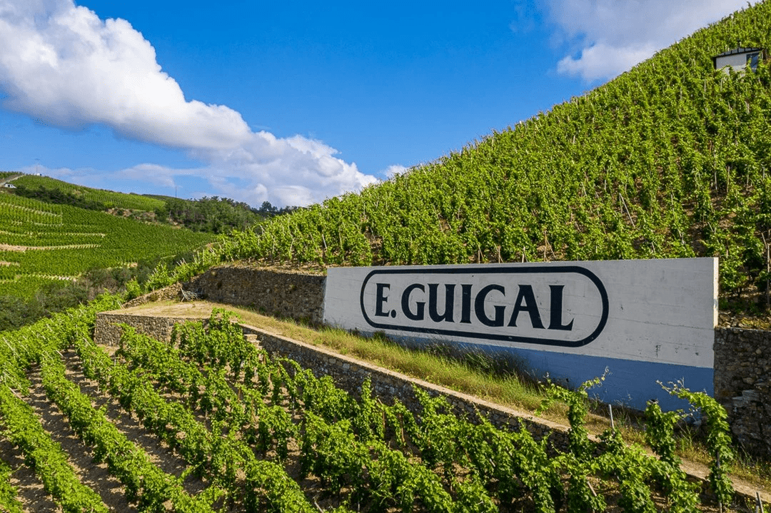 Hermitage Syrah | Northern Rhône, France