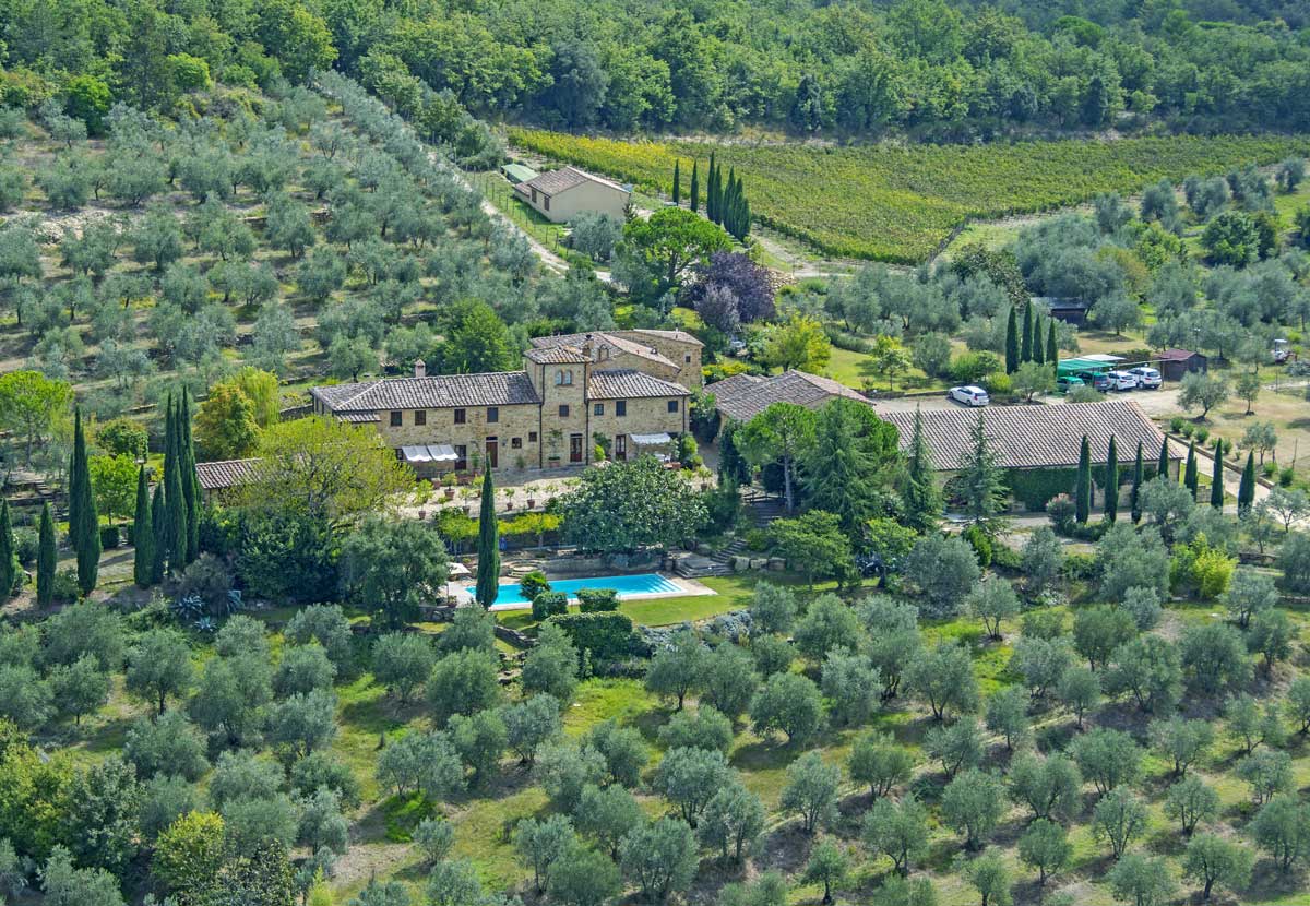 Toscana IGT Wine Collection