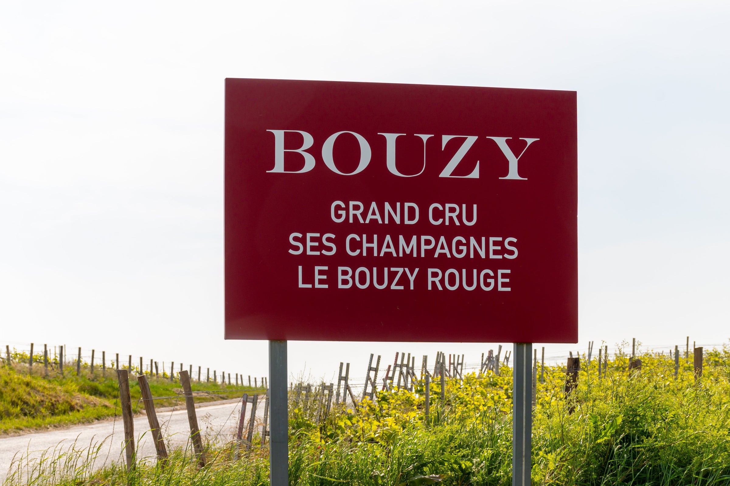 Bouzy Grand Cru Champagne | Premier Pinot Noir Champagne Collection