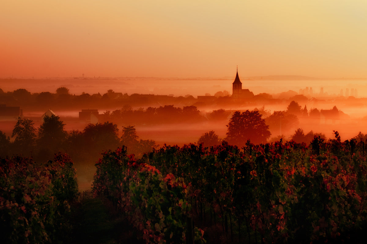 Blue-Chip French Wines