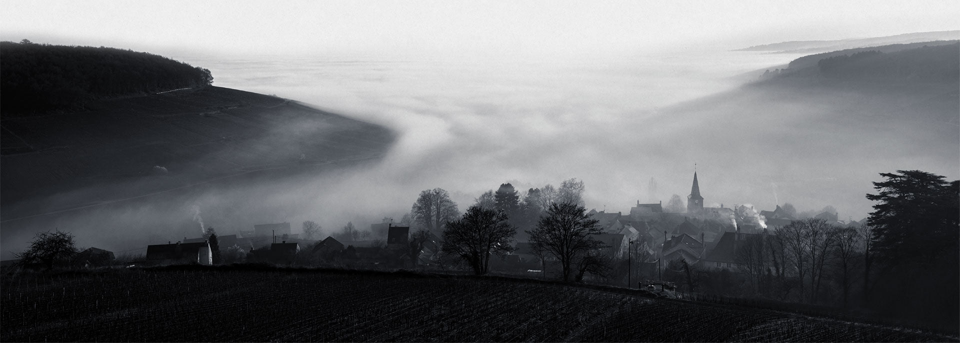 Maison Champy Wine Collection