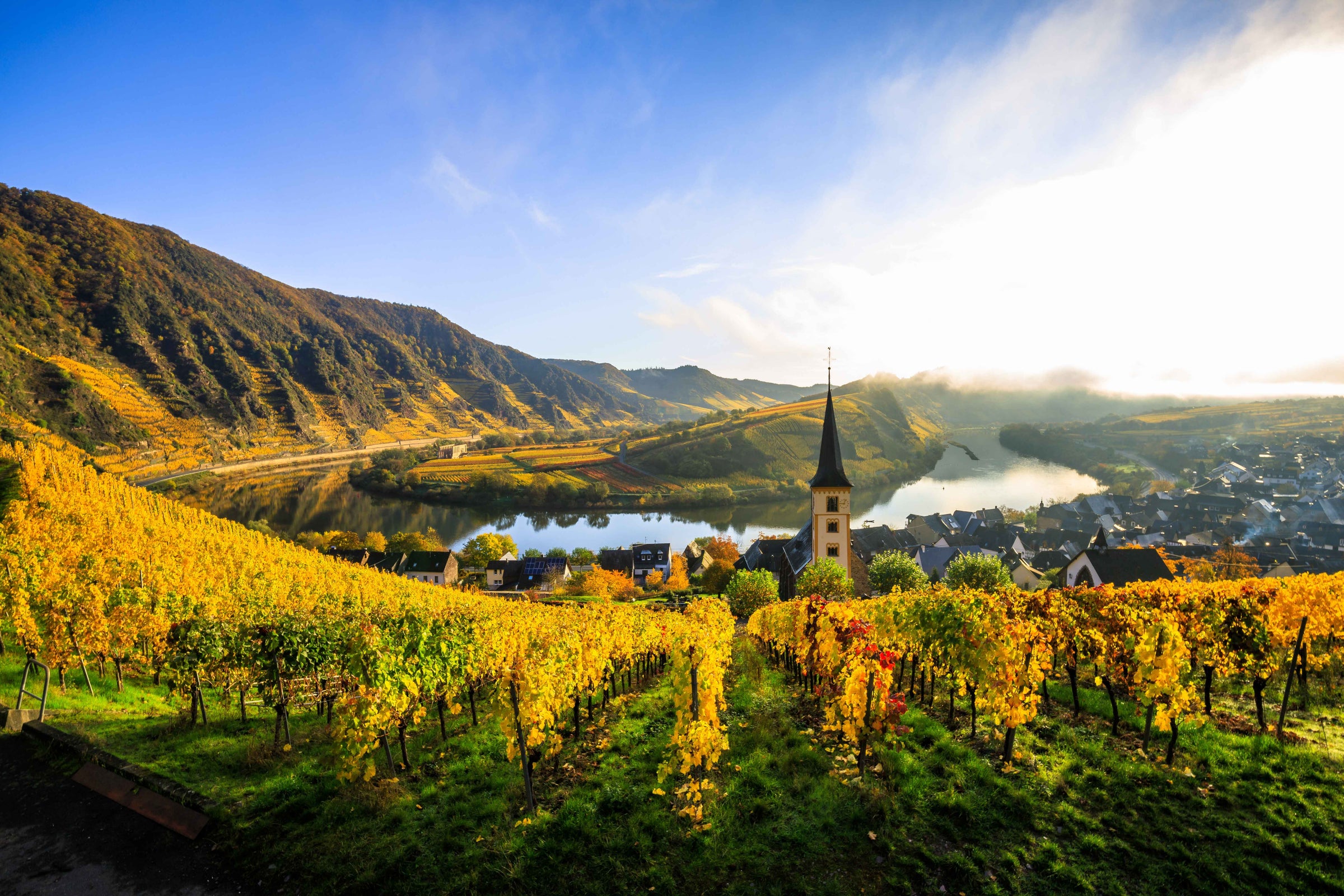 German Wine Collection