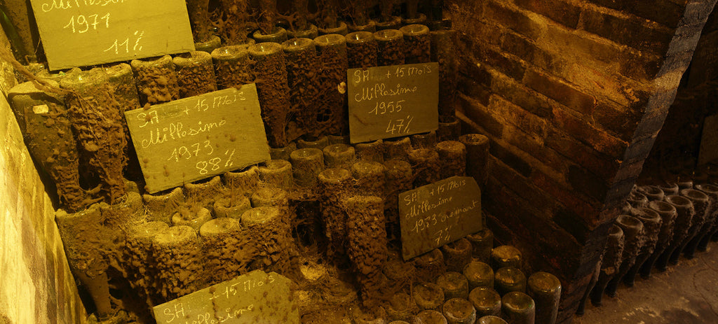 Collection Image