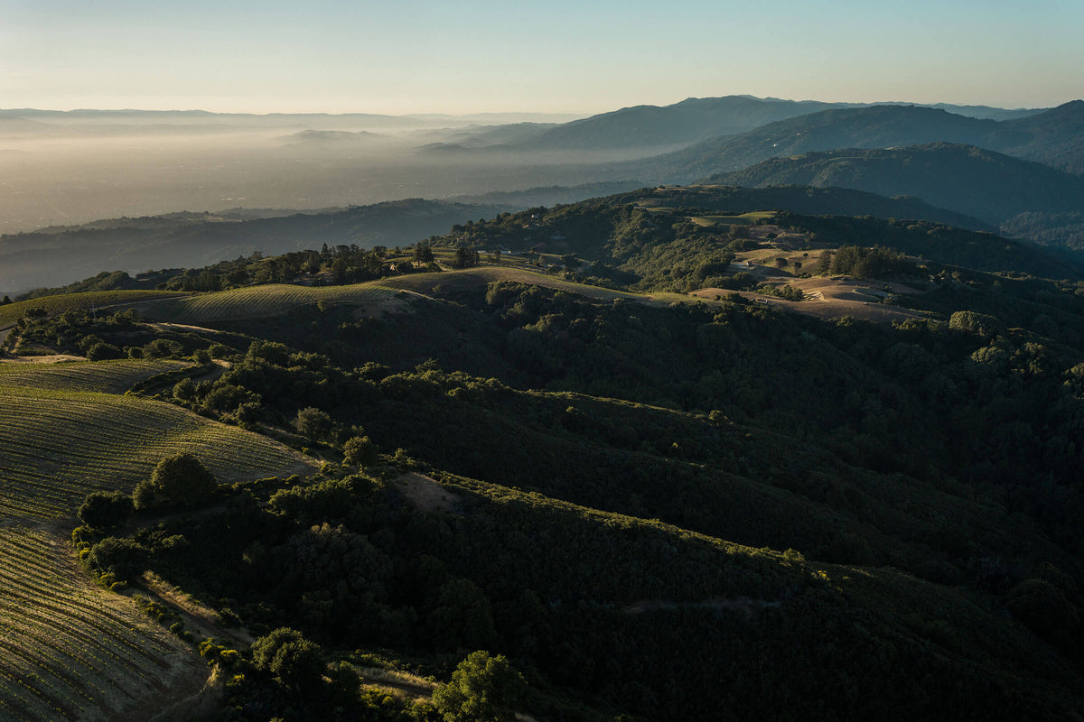 Santa Cruz Wine Collection