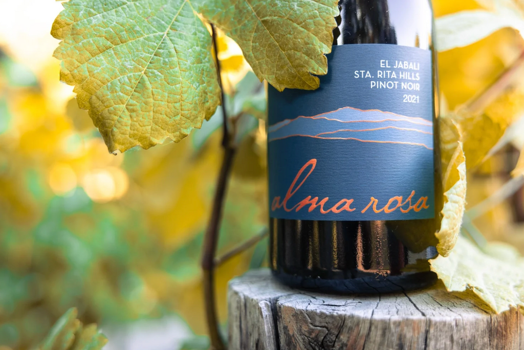 Collection Image