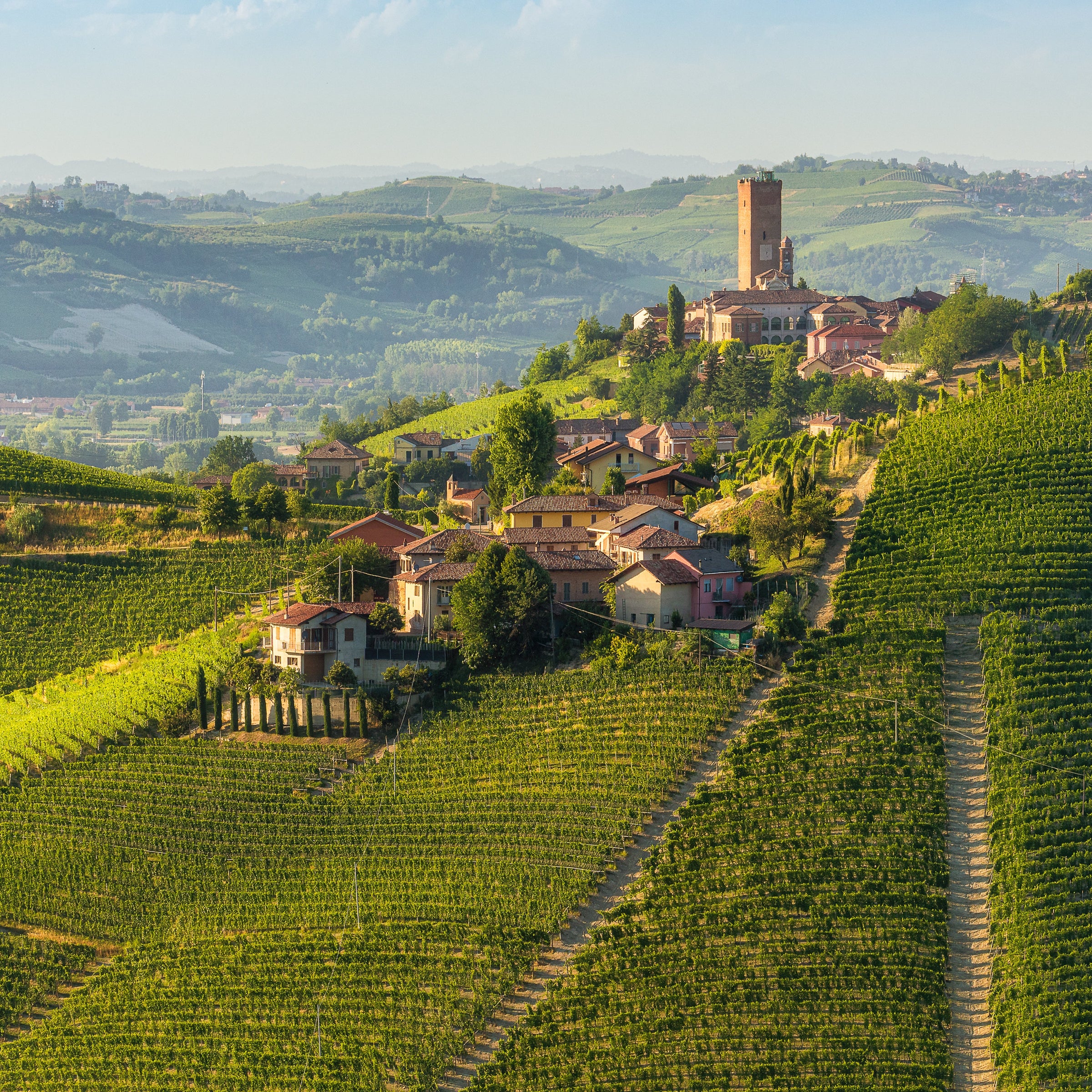 Spring Wine Collection - SommSelect