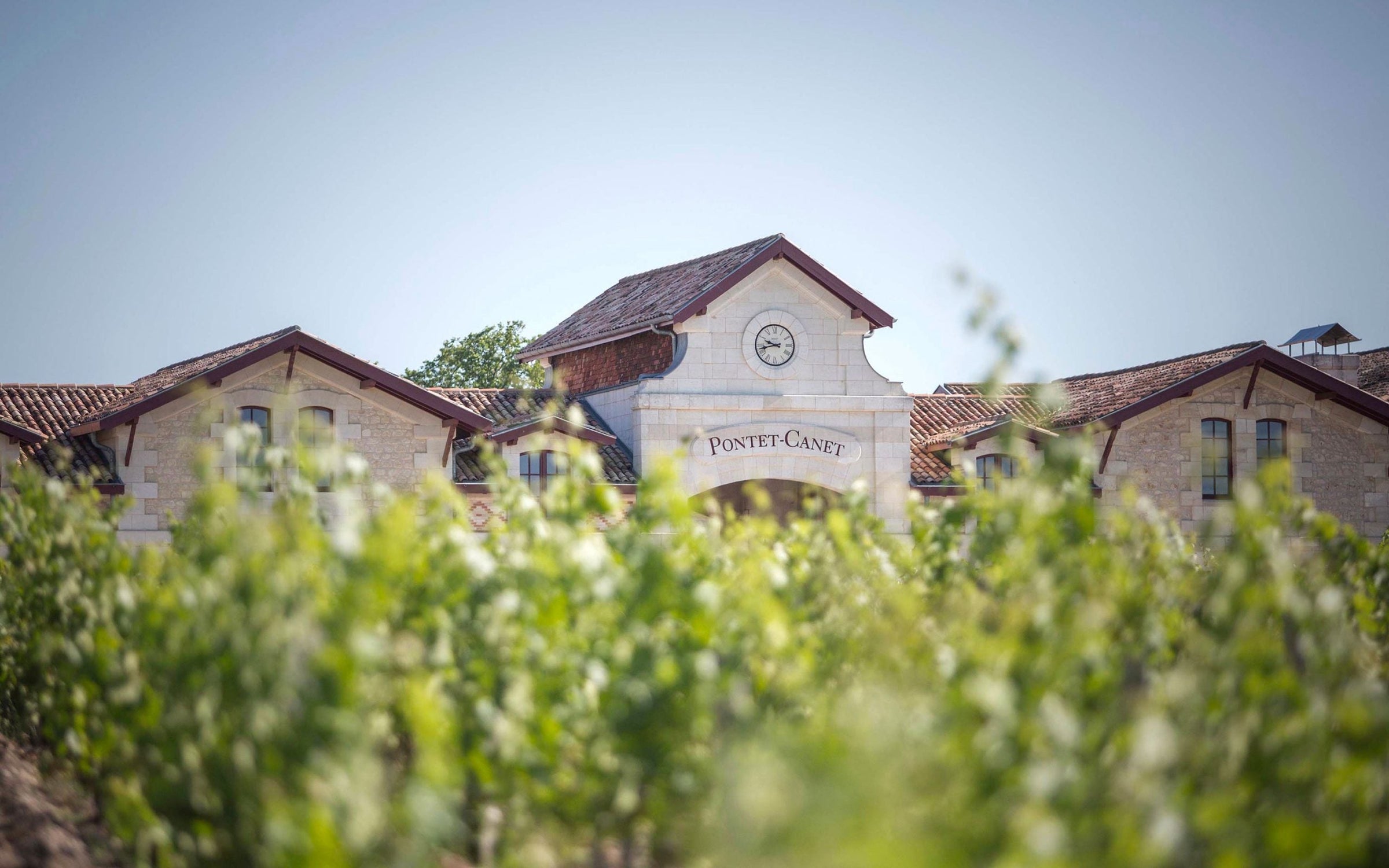 2016 Bordeaux Vintage Wine Collection