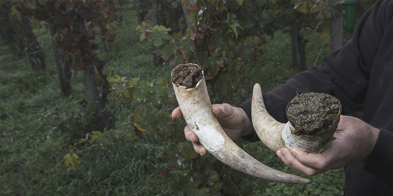 The Biodynamic Wine Collection