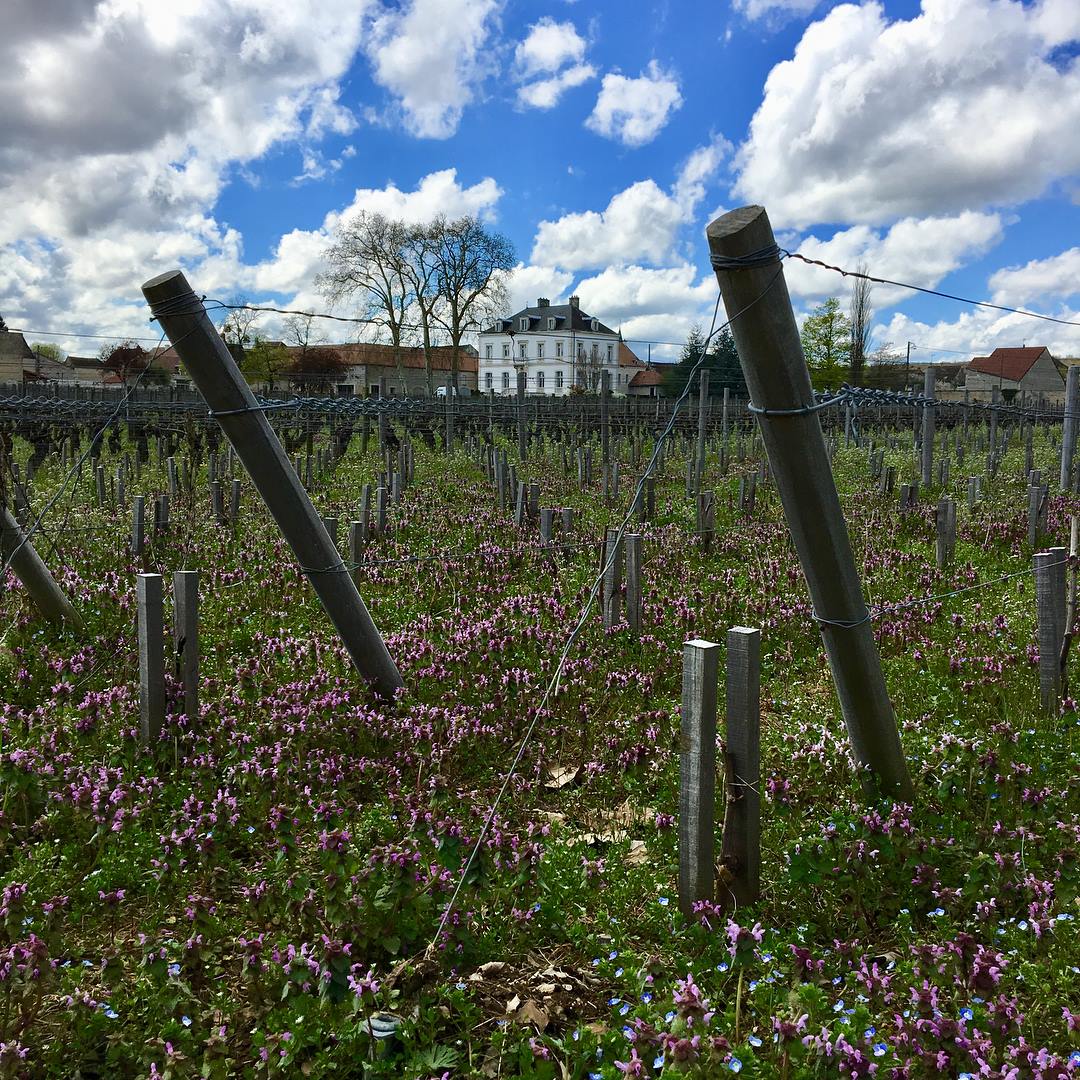 2023 Domaine de Montille Burgundy Collection