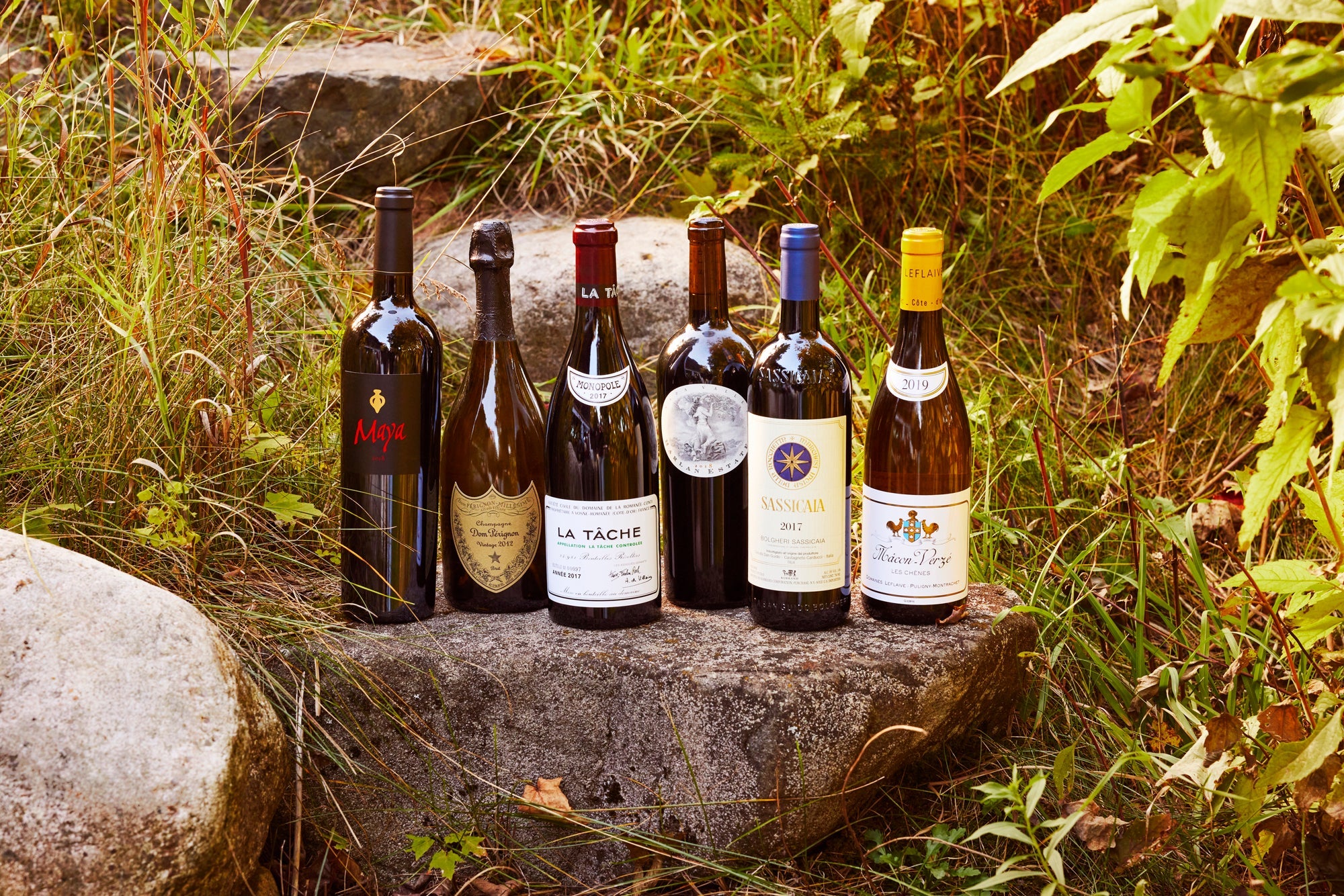 Most Popular Wines