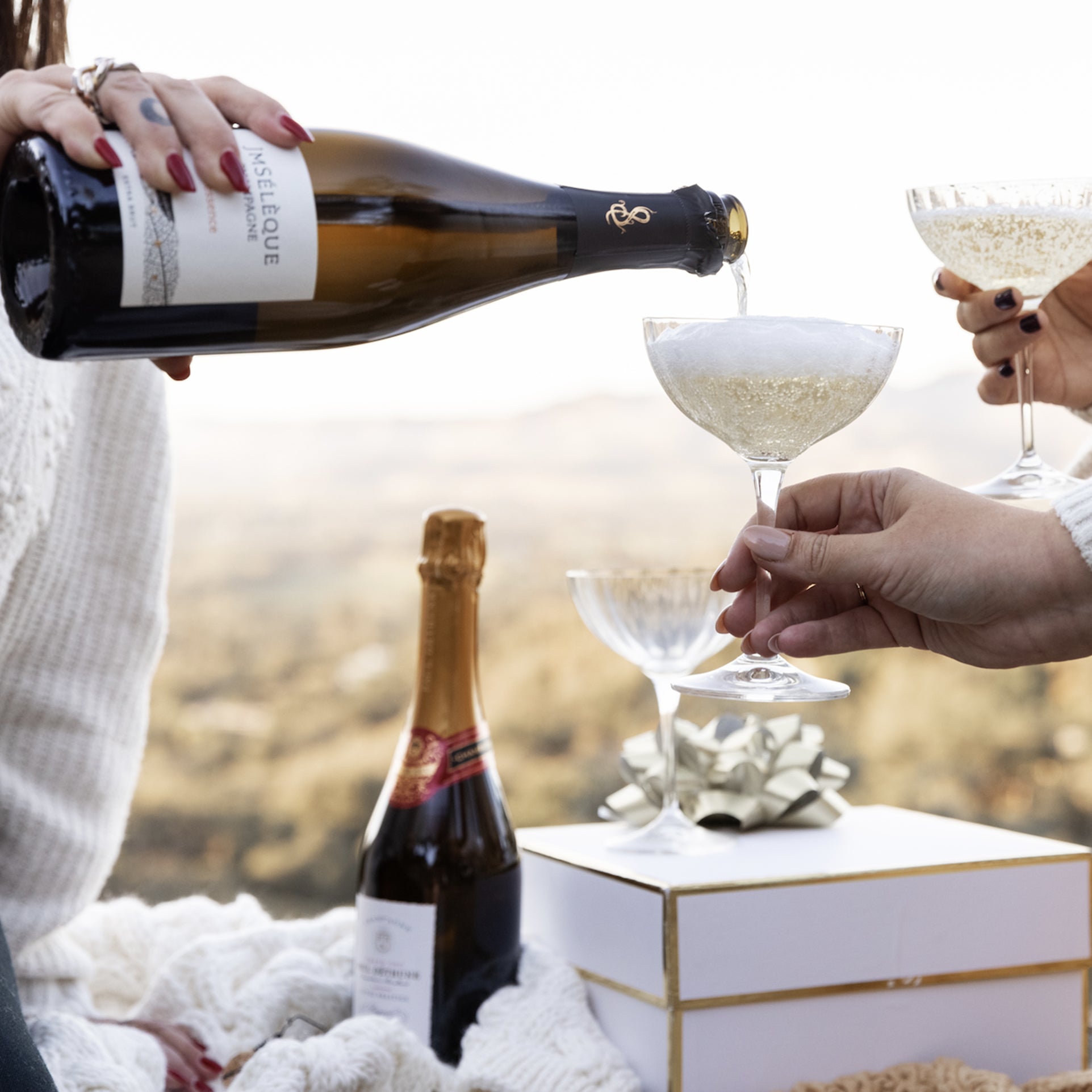 French Champagne Collection