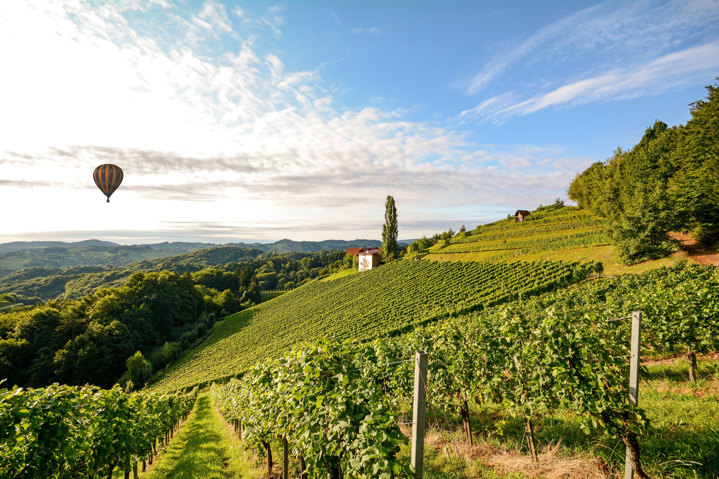 Southern Rhône Valley