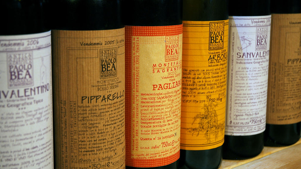 Collection Image