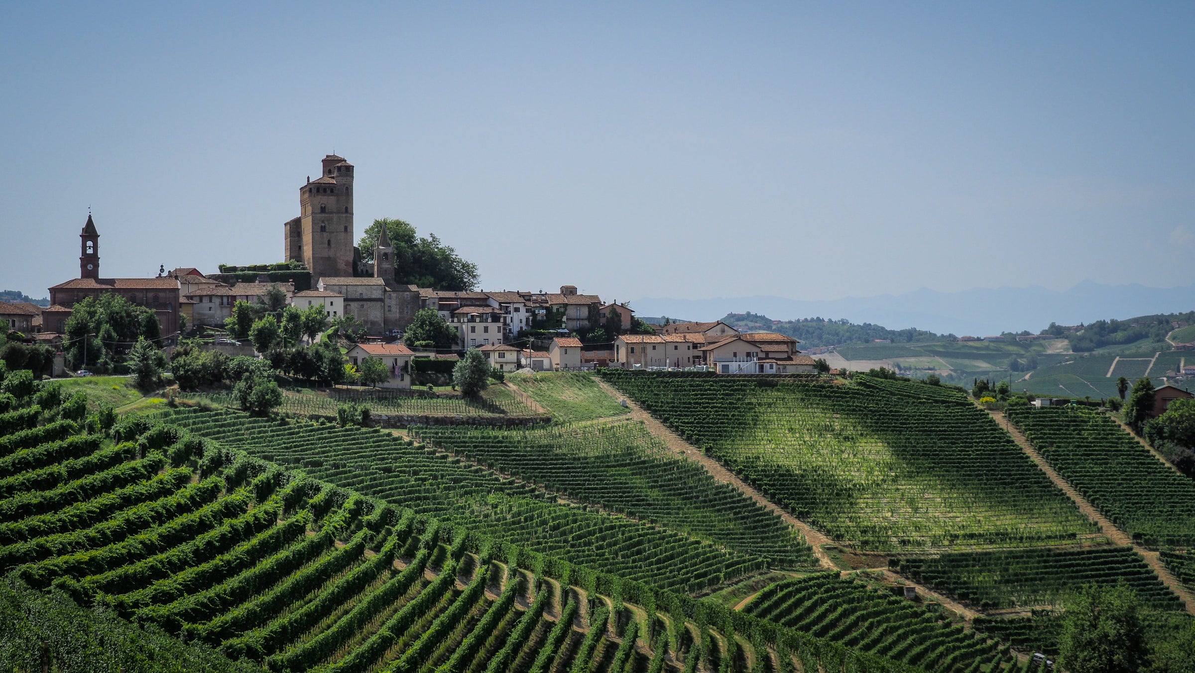 Nebbiolo Wine Collection