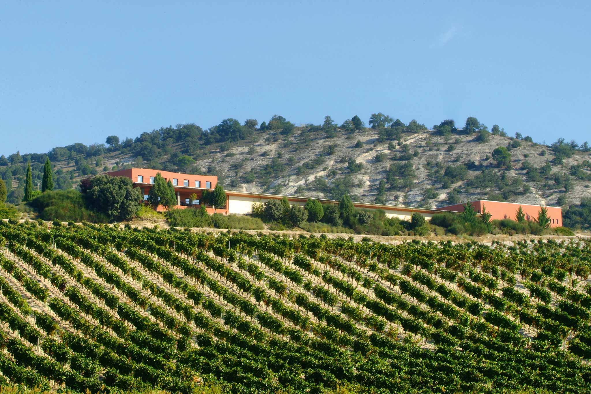 Ribera del Duero, Spain