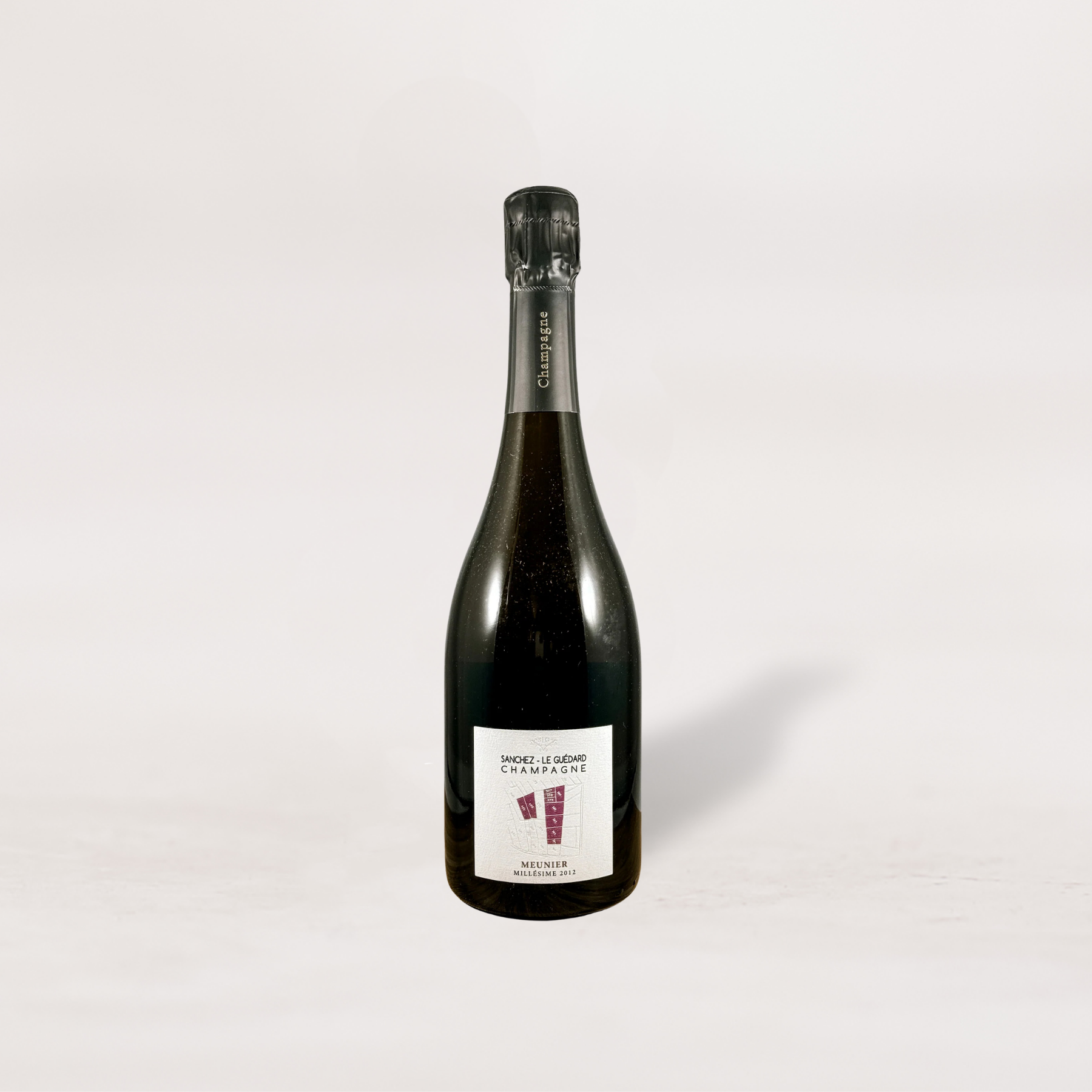 2012 Sanchez-Le Guédard, Meunier, Vallée de la Marne