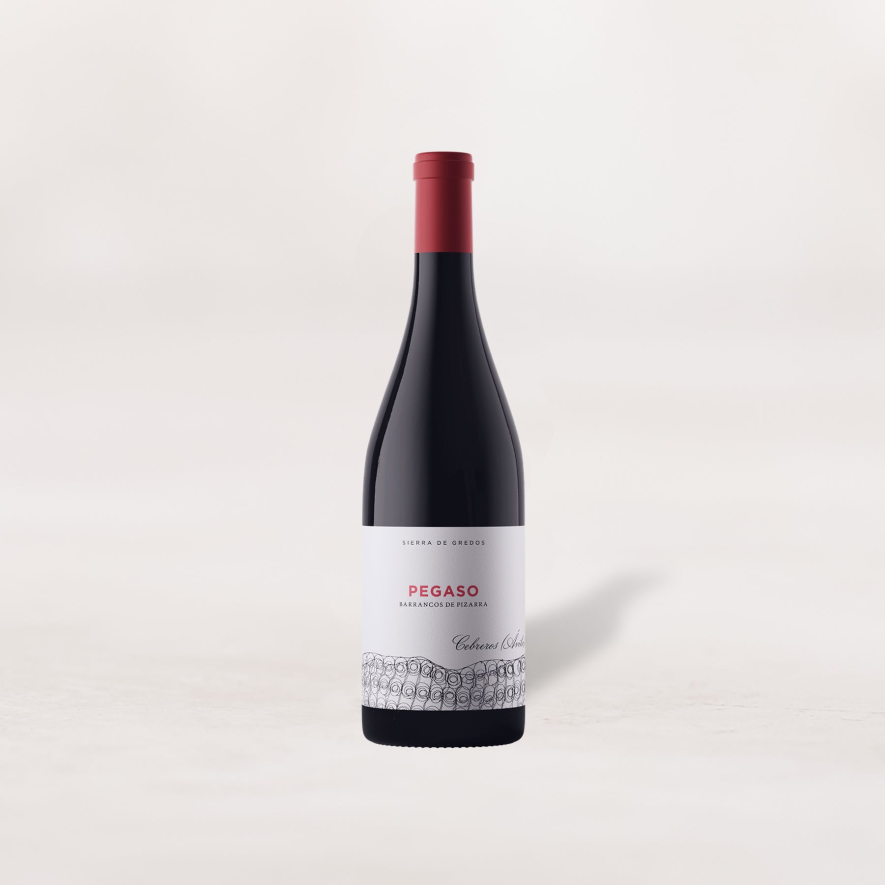 2021 Pegaso, Cebreros Barrancos de Pizarra, Sierra de Gredos