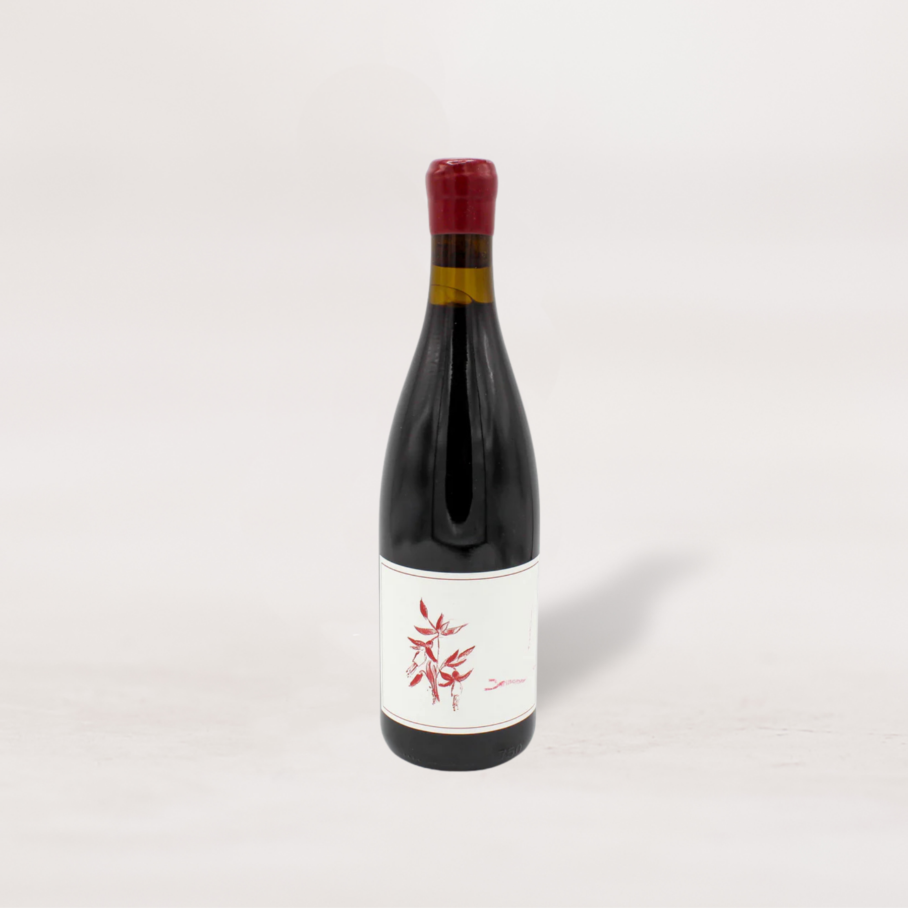 2022 Arnot-Roberts, Syrah Sonoma Coast