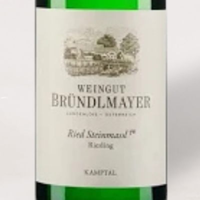 2022 Bründlmayer, Riesling "Ried Zöbinger Heiligenstein" 1 ÖTW