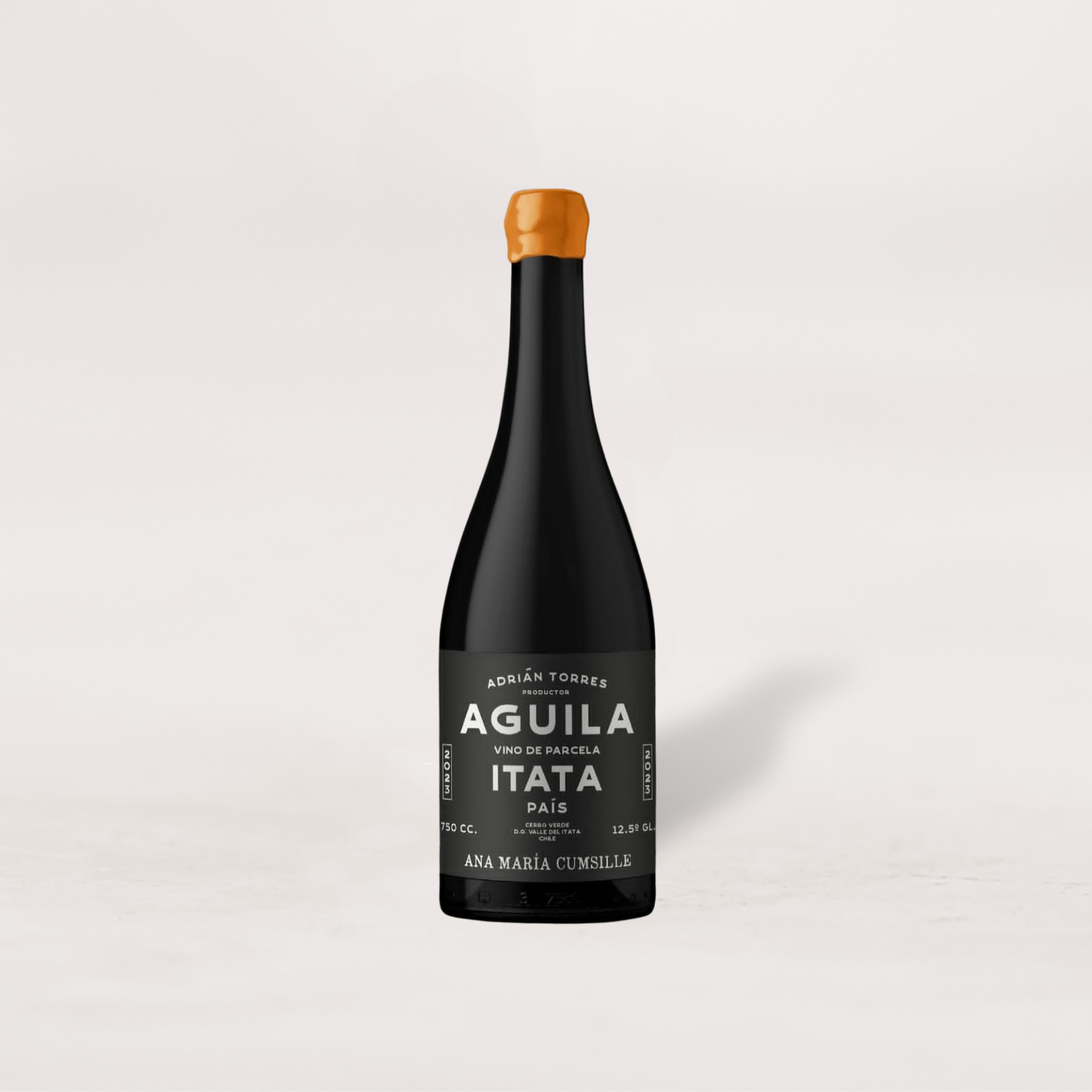 2023 Ana Maria Cumsille, Adrian Torres "Aguila" Pais, Valle del Itata