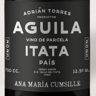 2023 Ana Maria Cumsille, Adrian Torres "Aguila" Pais, Valle del Itata